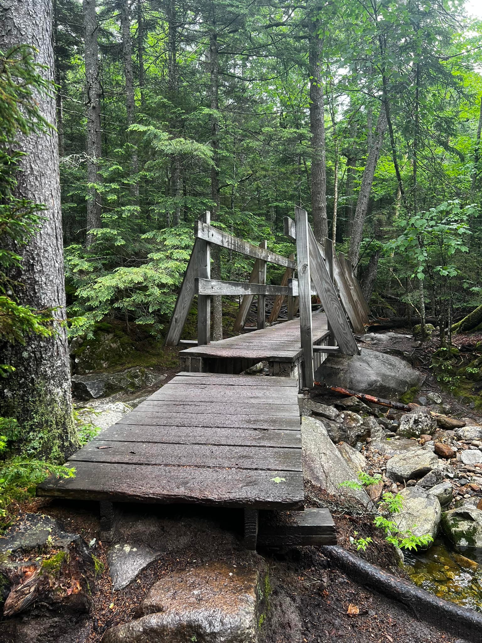 Mount Pierce hike on a rainy day in New Hampshire
