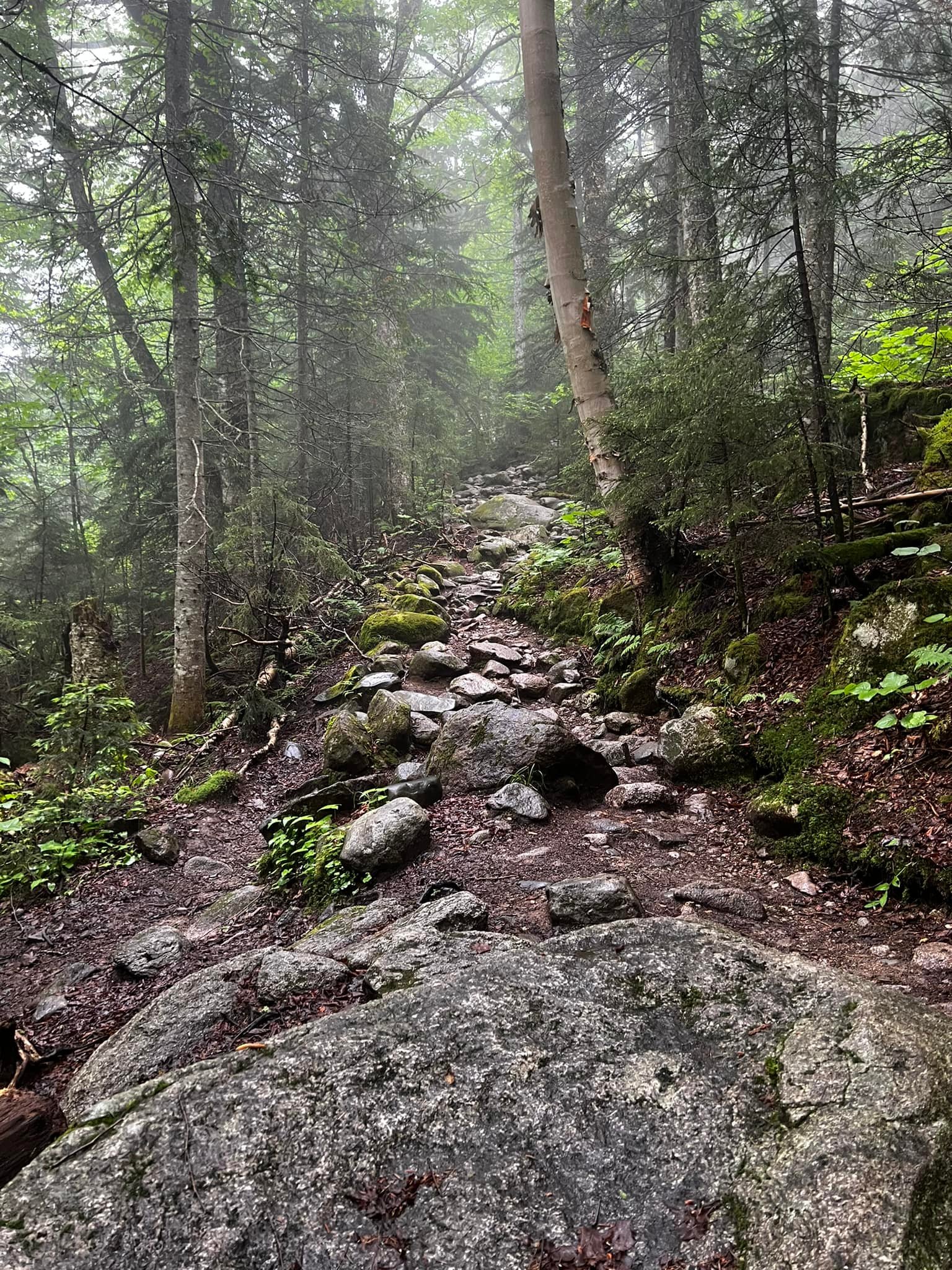 Mount Pierce hike on a rainy day in New Hampshire
