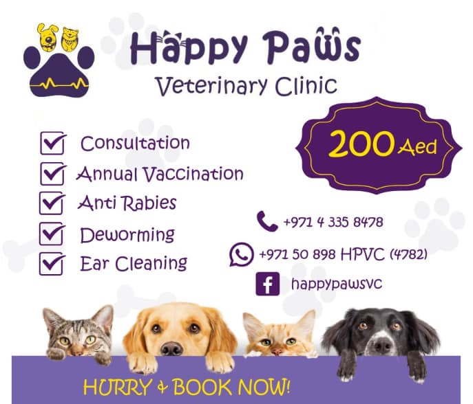 Happy International Cat Day from... Happy Paws Vet Clinic