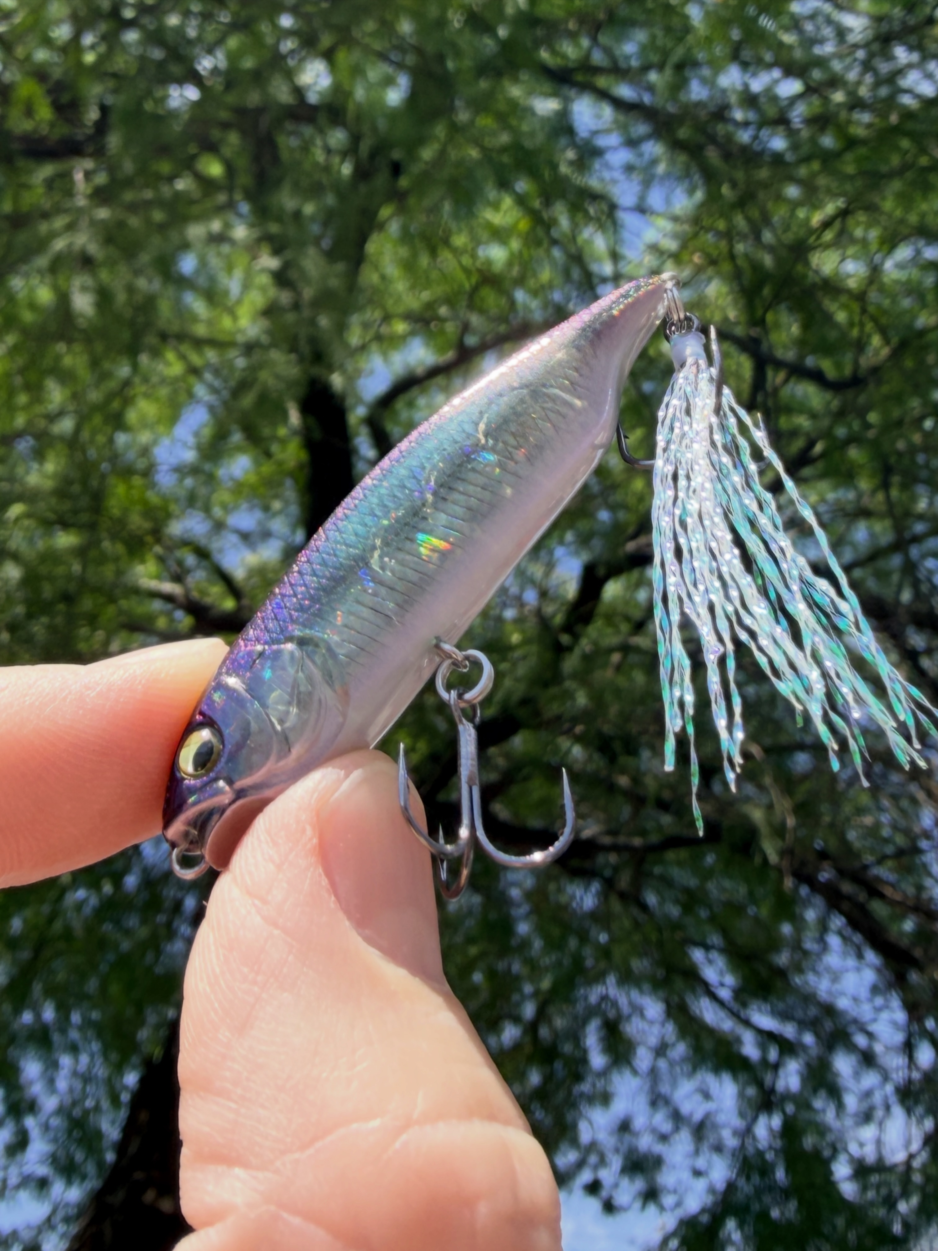 Megabass karashi gs moroko color in light and back light