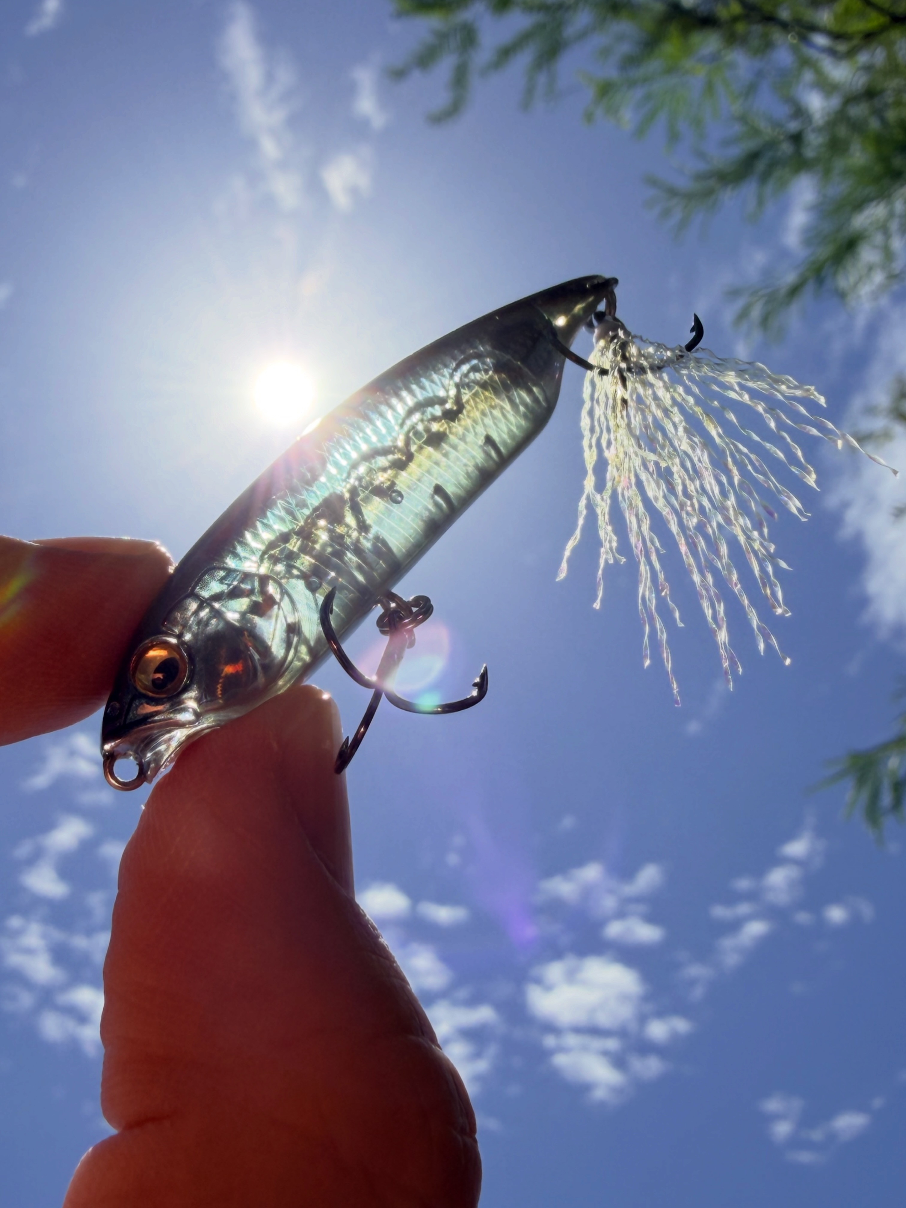 Megabass karashi gs moroko color in light and back light
