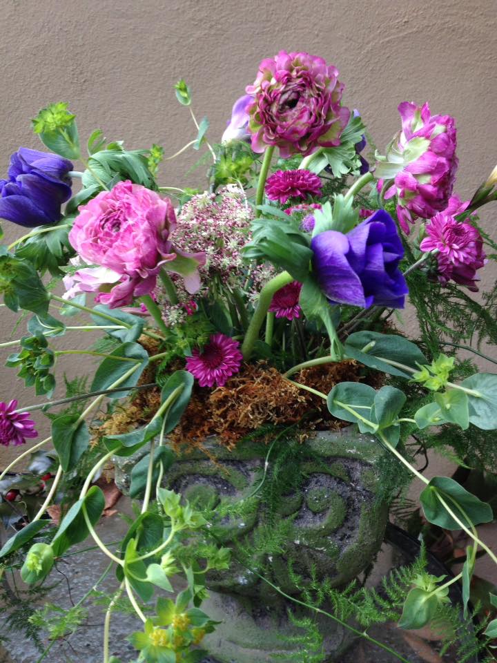 The color of ranunculus malva is gorgeous! - Designs In Bloom