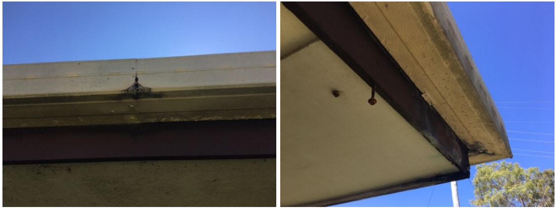 Rust in gutters is... - DedAnt Building and Pest Inspections | Facebook