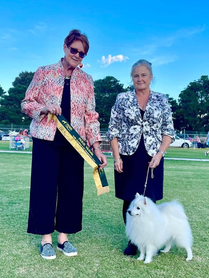 Congratulations to Jane... - Japanese Spitz Club of Victoria