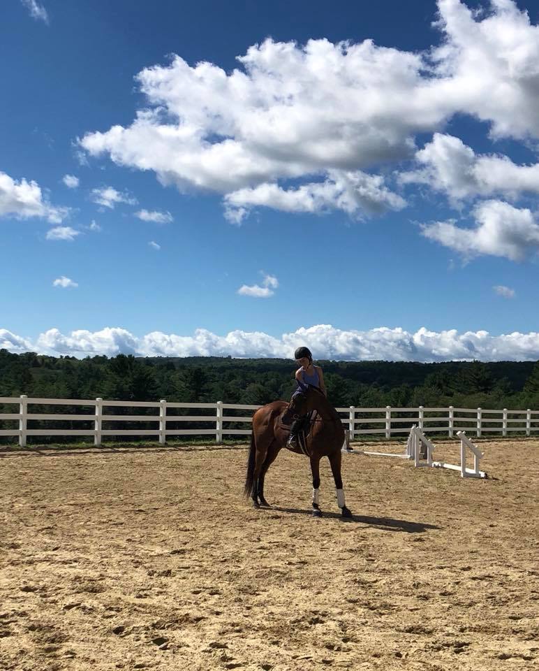 This farm has evolved... - Cardinal Ridge Equestrian Center | Facebook