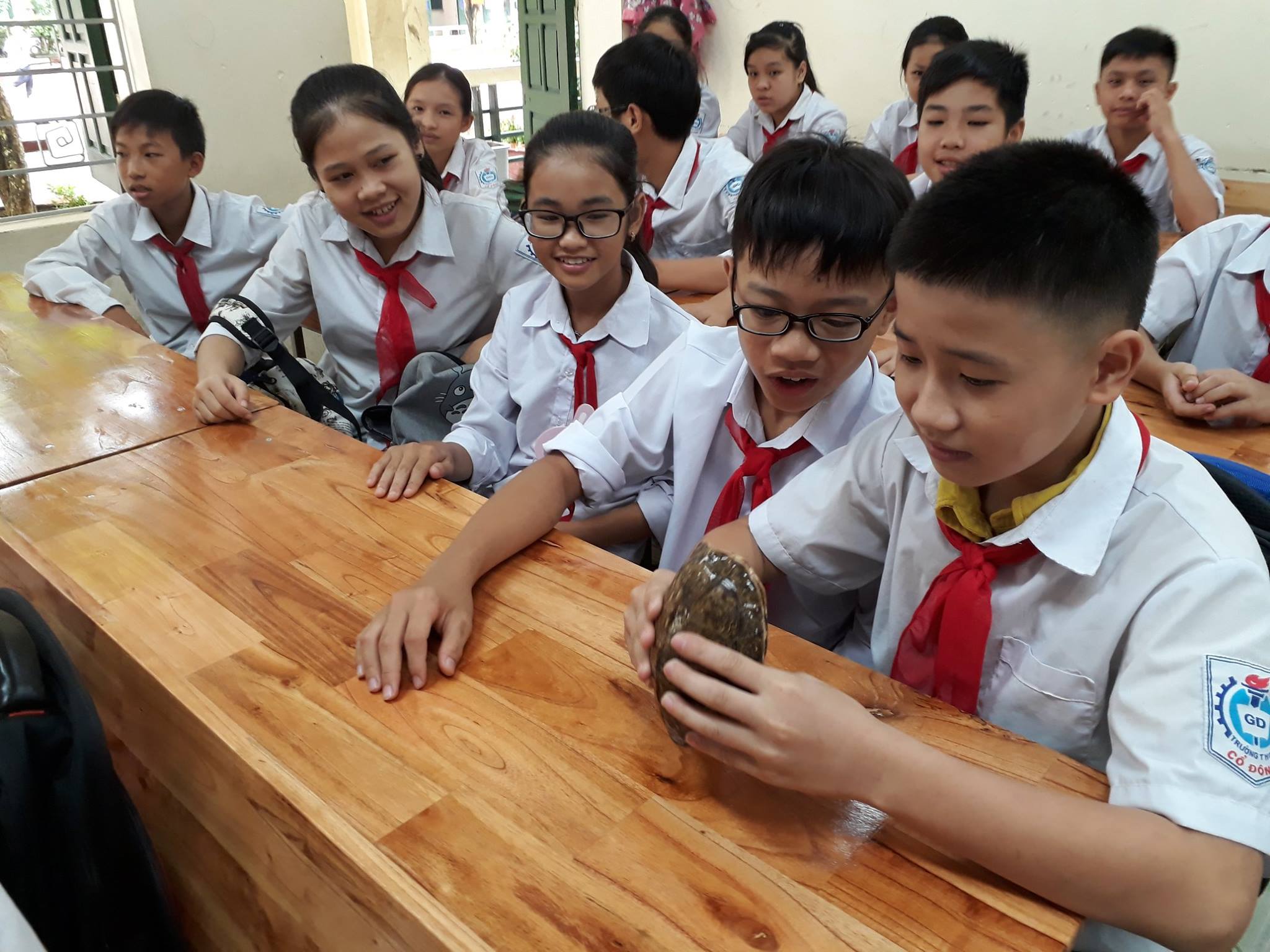 School children in Vietnam learn... - Asian Turtle Program | Facebook