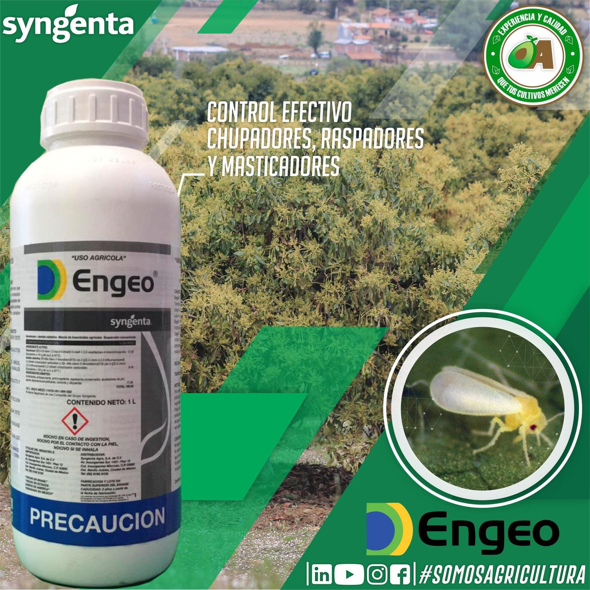 🧴TWISTER 40 SE🧴 insecticida que actúa por contacto e ingestión