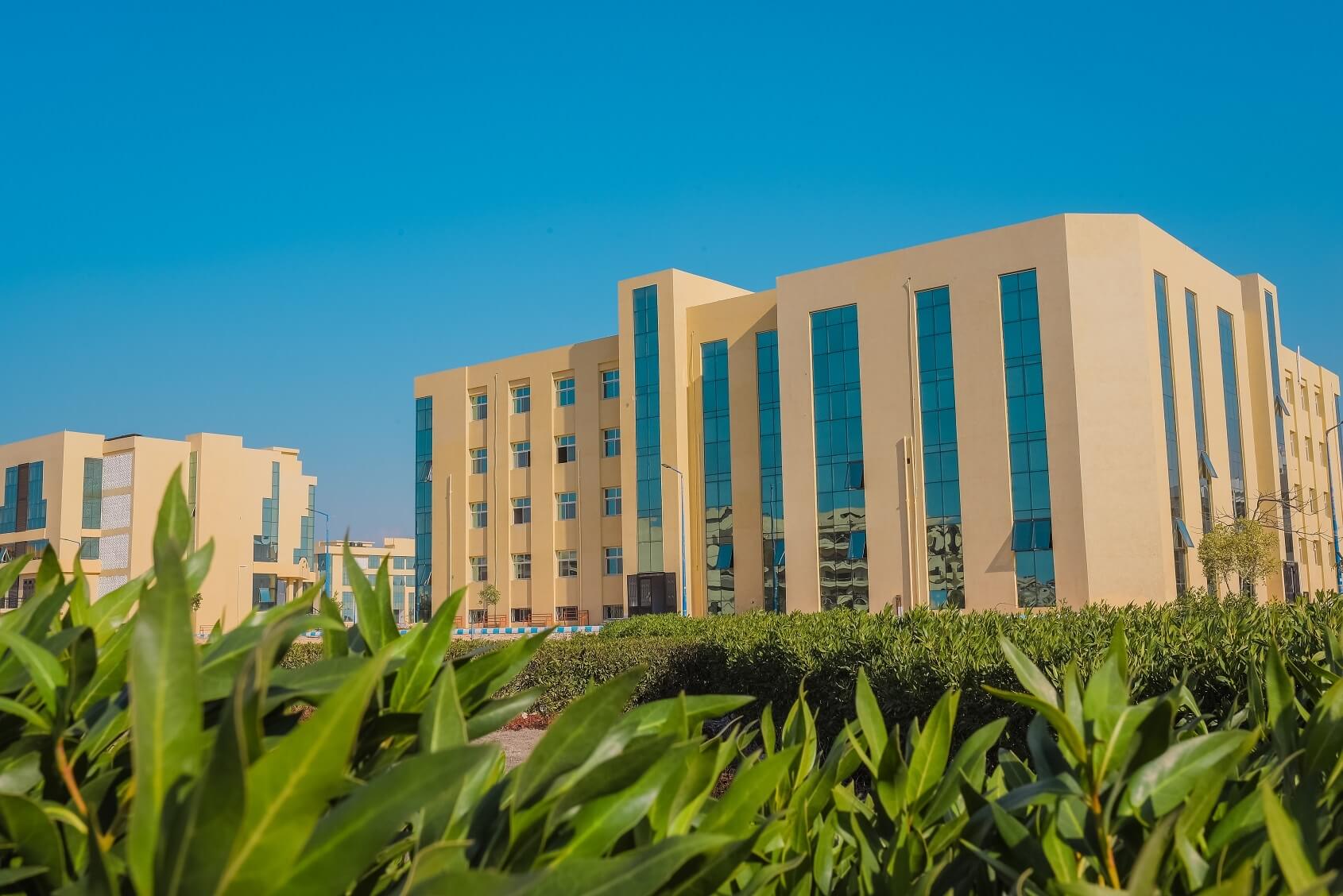 FCI - Faculty of Computers and Information, Arish University | El Arish