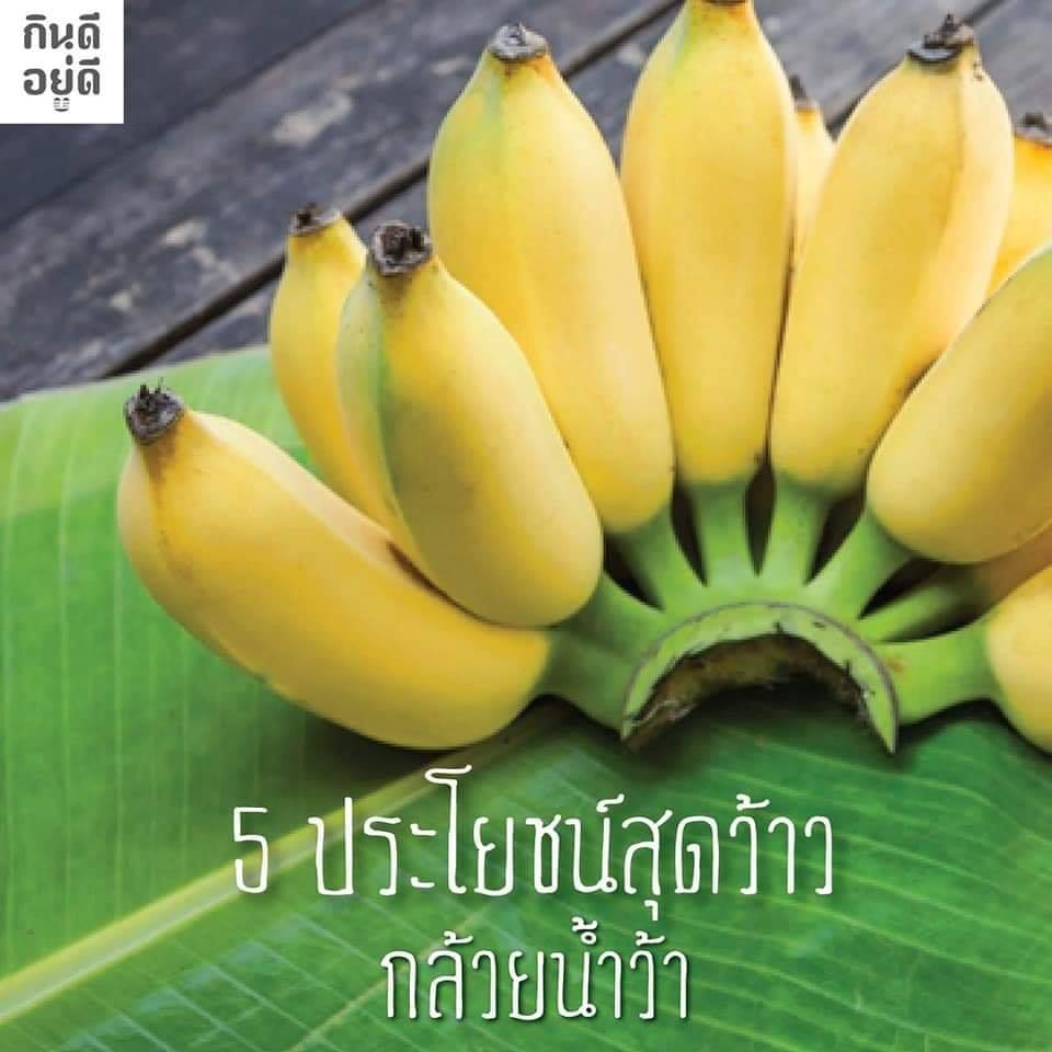 ผ.ผึ้งทำรัง - ส่วนประกอบในการทำฟีโรโมนล่อผึ้ง 1....