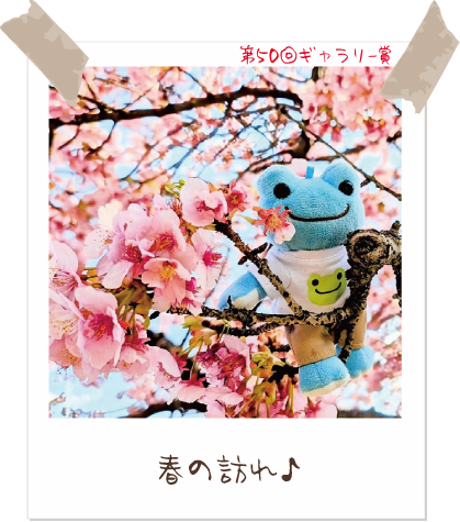 かえるのピクルス / pickles the frog - かえるのピクルス