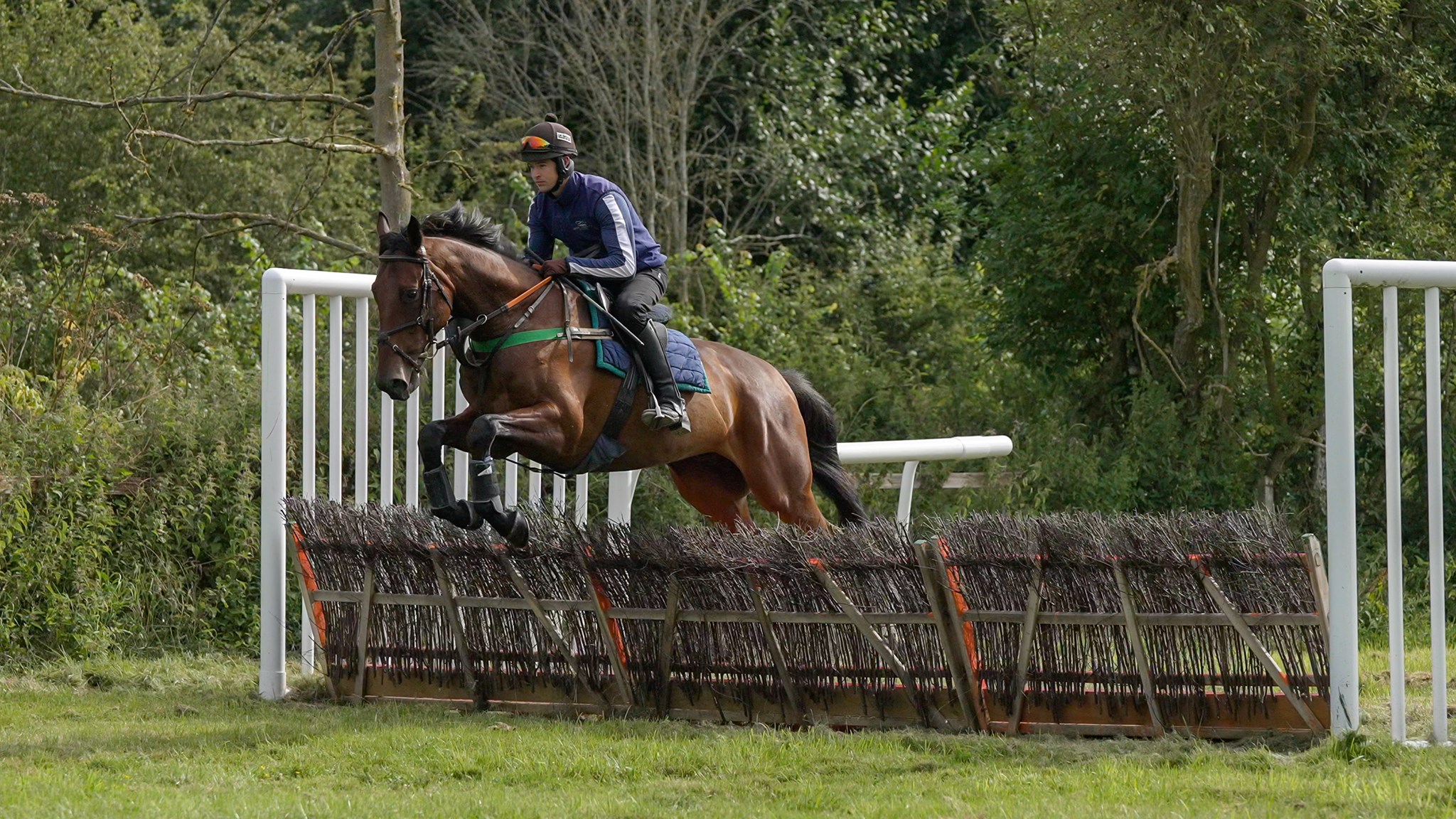 Henrietta Knight Racing Club