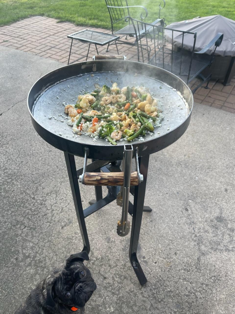 Back Forty Woks - Portable Propane Disc Cookers | Saint Cloud MN