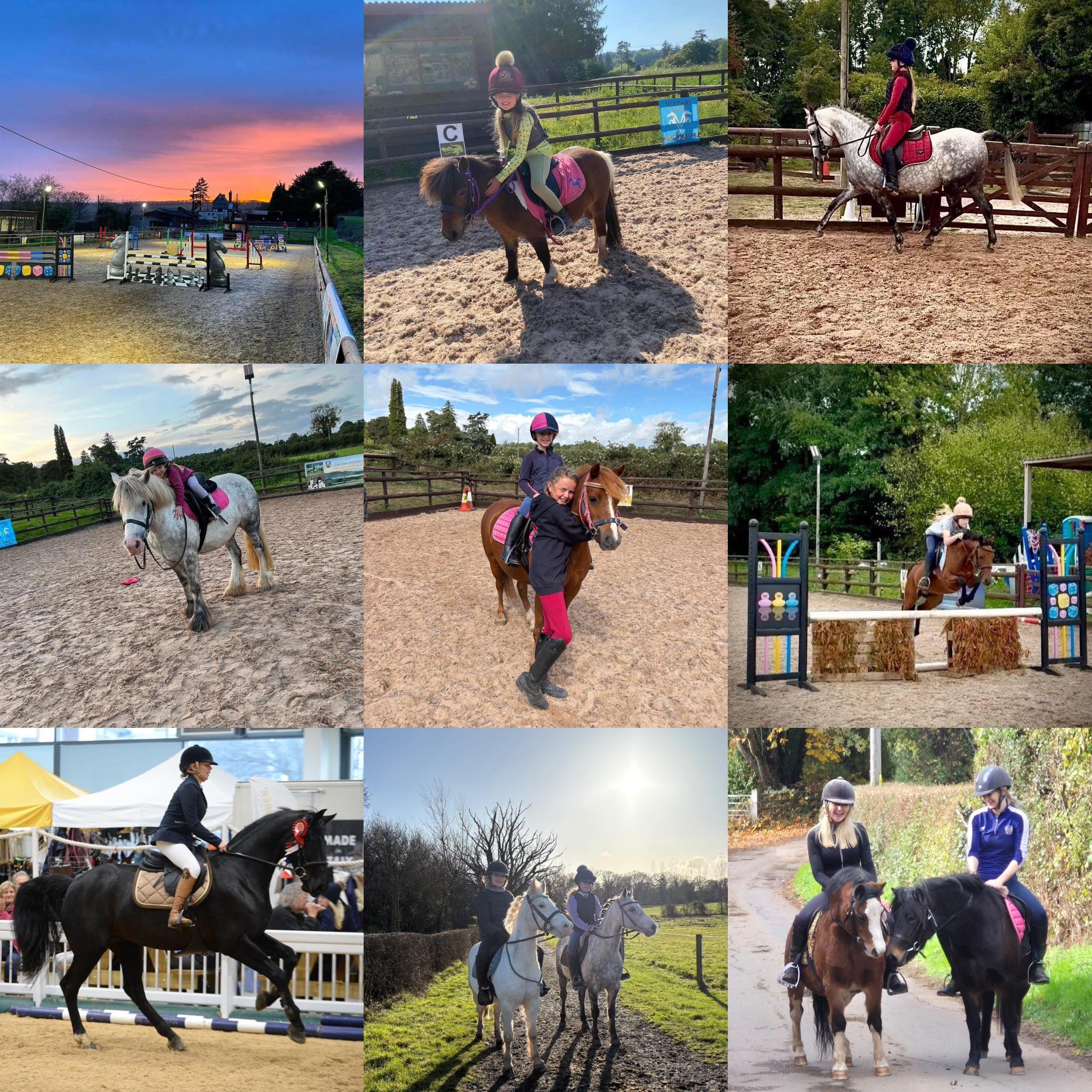 Georgie Pudge Schooling Livery | Hereford