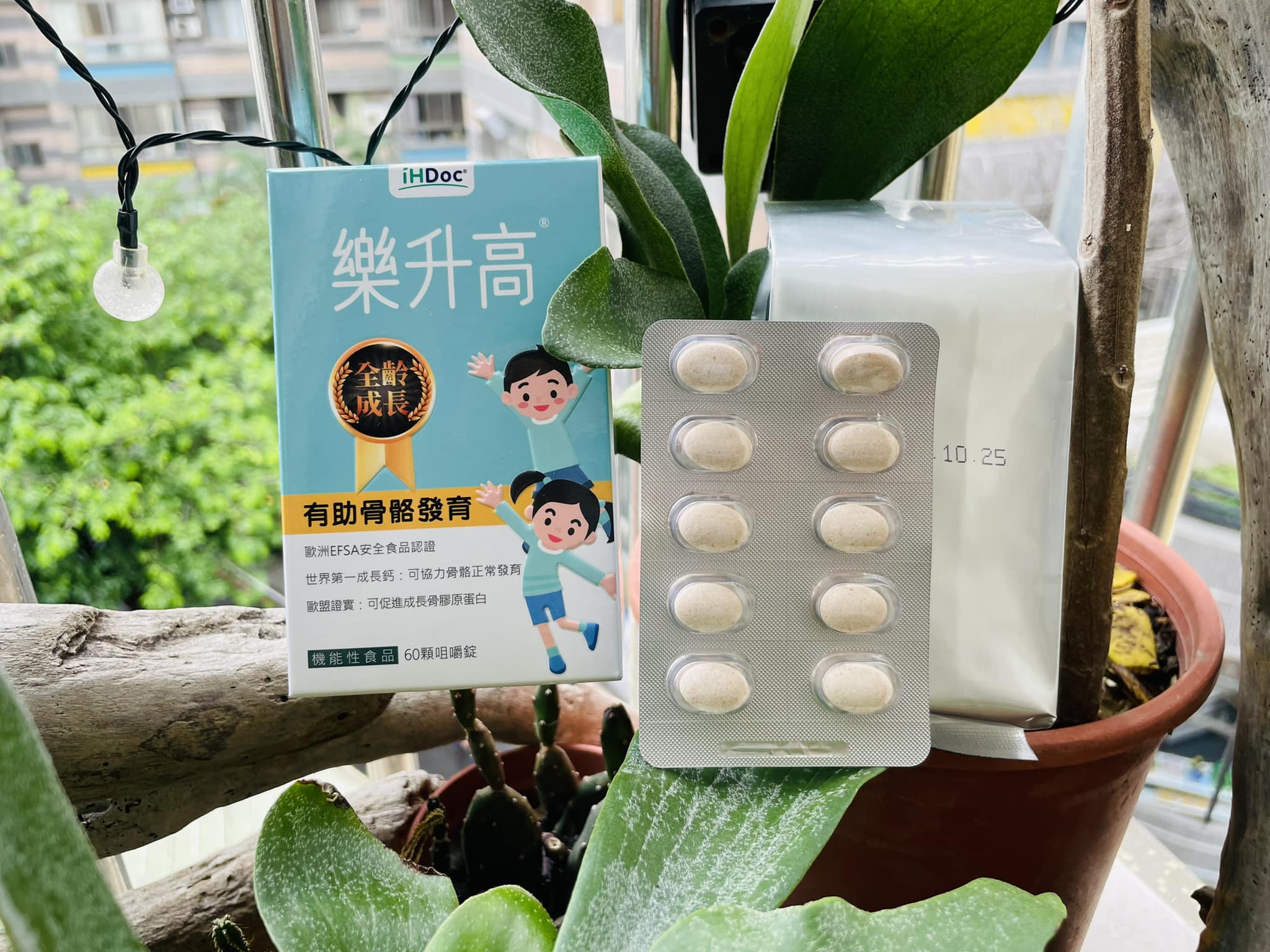 昌昌與瑄瑄，日常 - 昌昌與瑄瑄，日常 added a new photo — at 豐樂雕塑公園.
