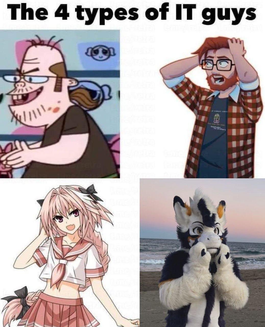 4 types of IT guys meme