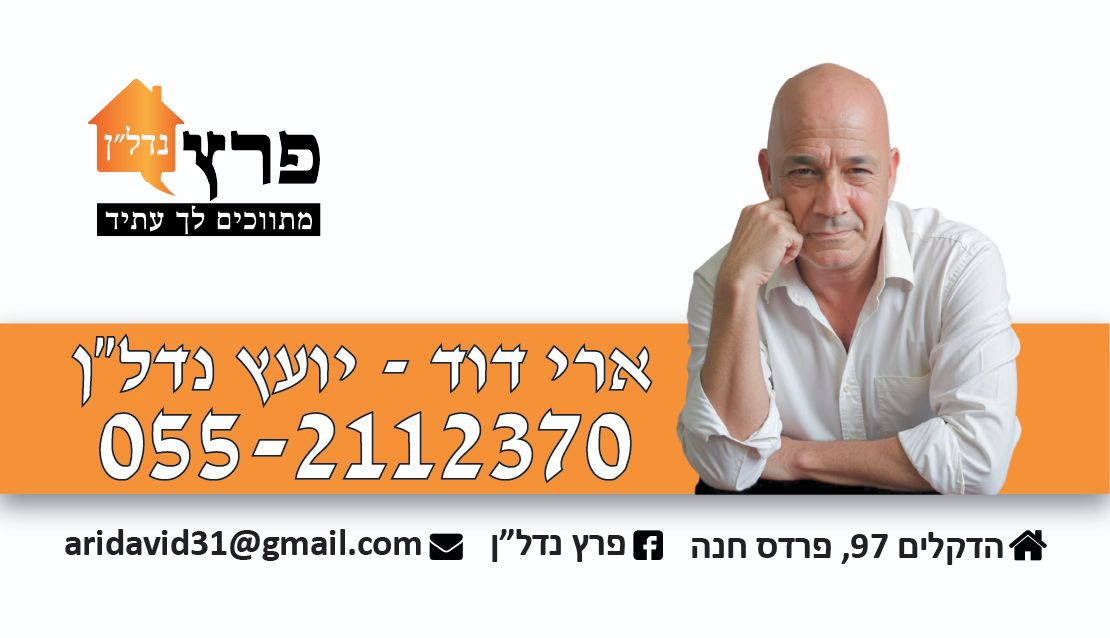 ארי דוד