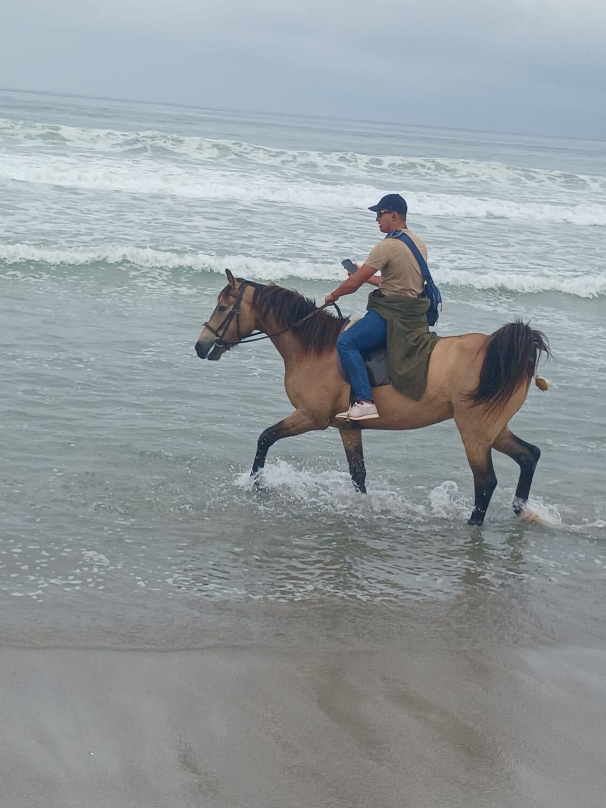Drikus Horse Trails | Paternoster