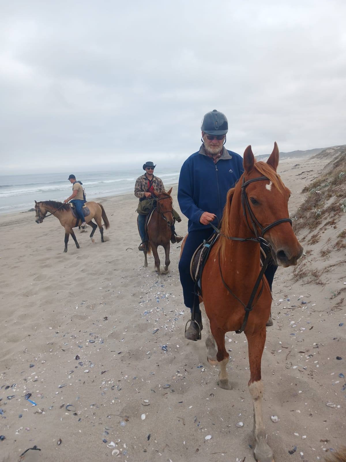 Drikus Horse Trails | Paternoster