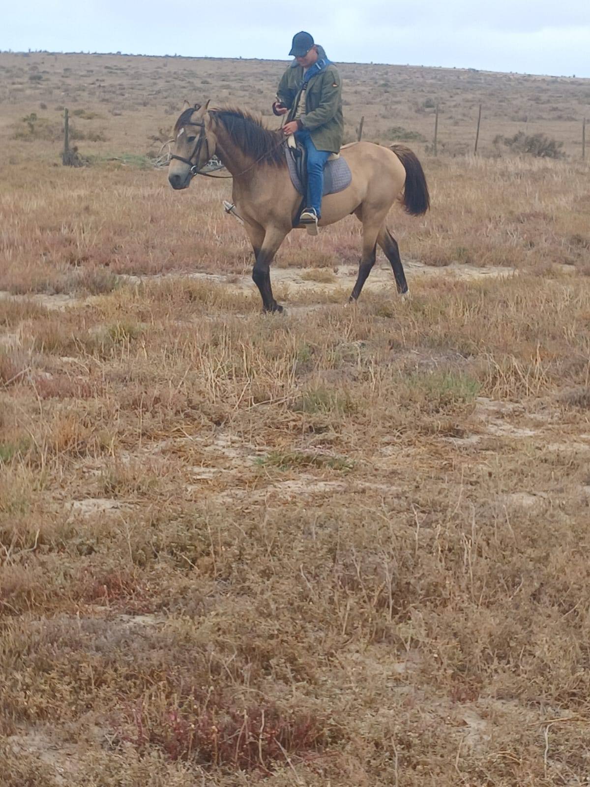 Drikus Horse Trails | Paternoster