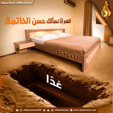 بانوراما الورد - يومُ العمُر