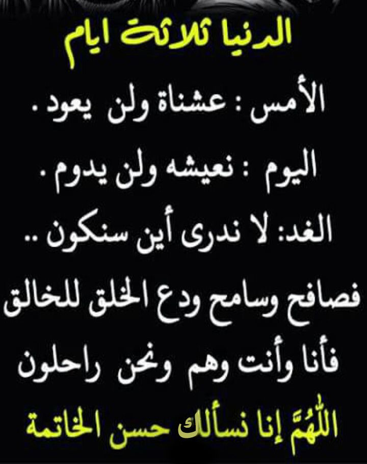 بانوراما الورد - يومُ العمُر
