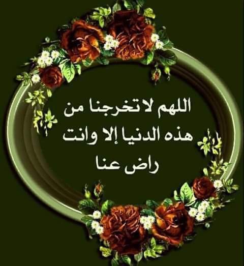بانوراما الورد - يومُ العمُر