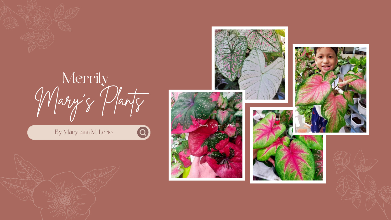 Merrily Mary's Plants | Parañaque