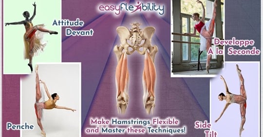 HAMSTRINGS TIGHTNESS -... - EasyFlexibility Cheerleading