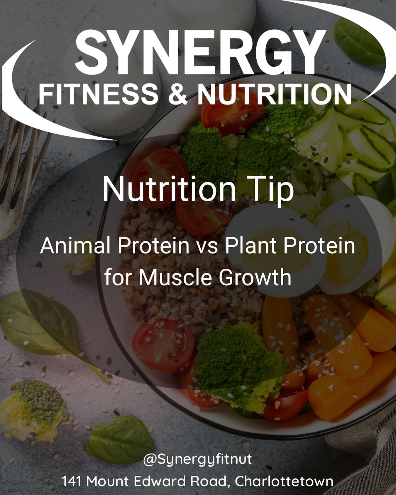 Synergy - Animal vs. Plant Protein: What Does Science Say? Animal ...