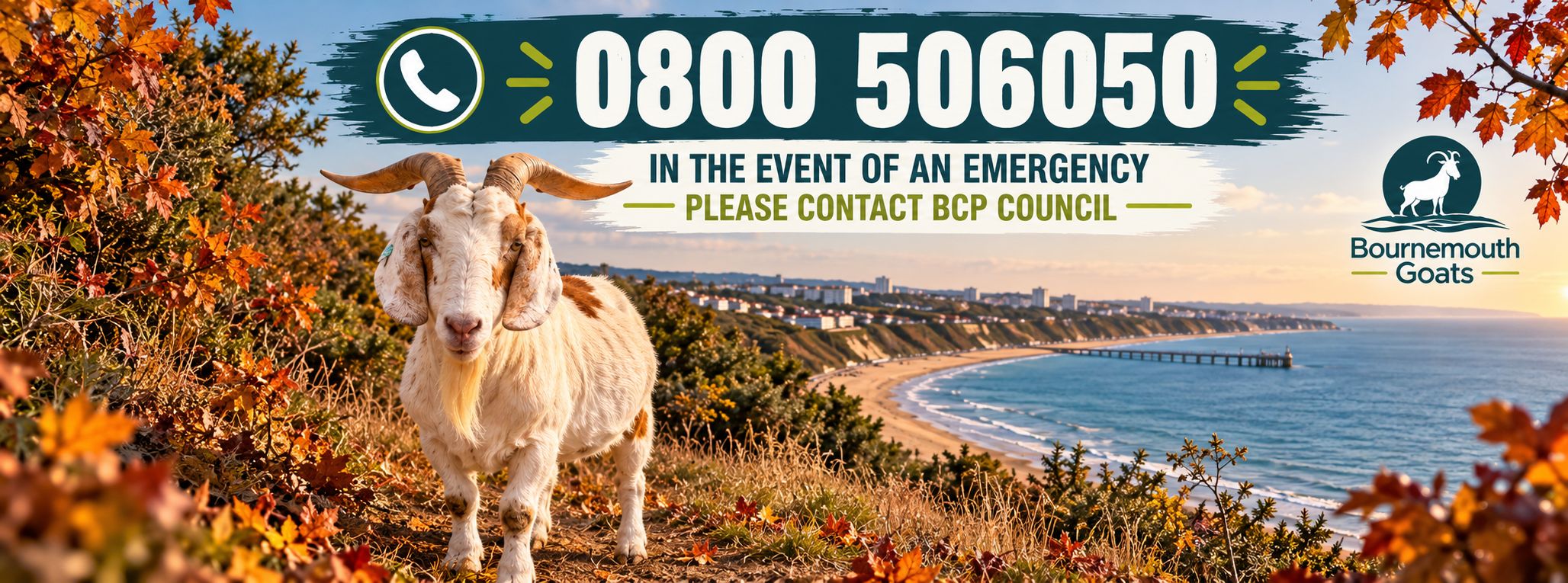 Bournemouth Goats | Bournemouth