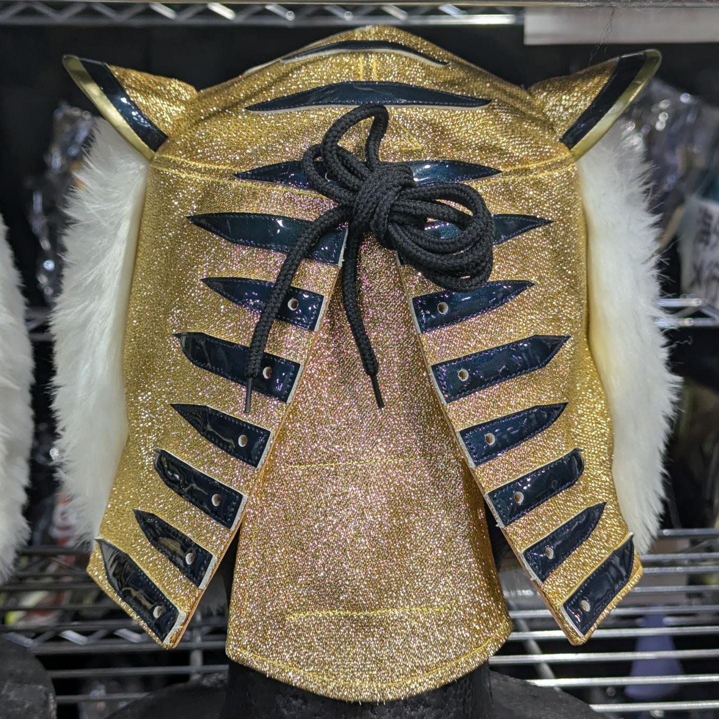 The First Tiger Mask #初代タイガーマスク #tigermask #闘道館 #toudoukan