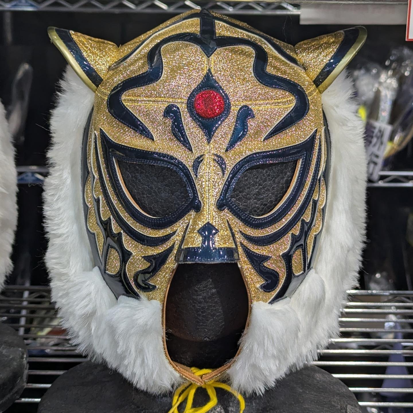 The First Tiger Mask #初代タイガーマスク #tigermask #闘道館 #toudoukan