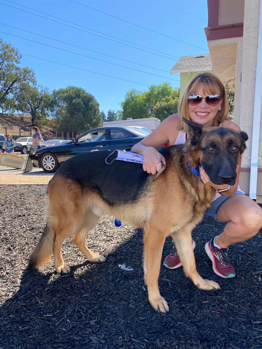🐾🚨🐶 ️Weekends are definitely the... - Underdog Animal Rescue