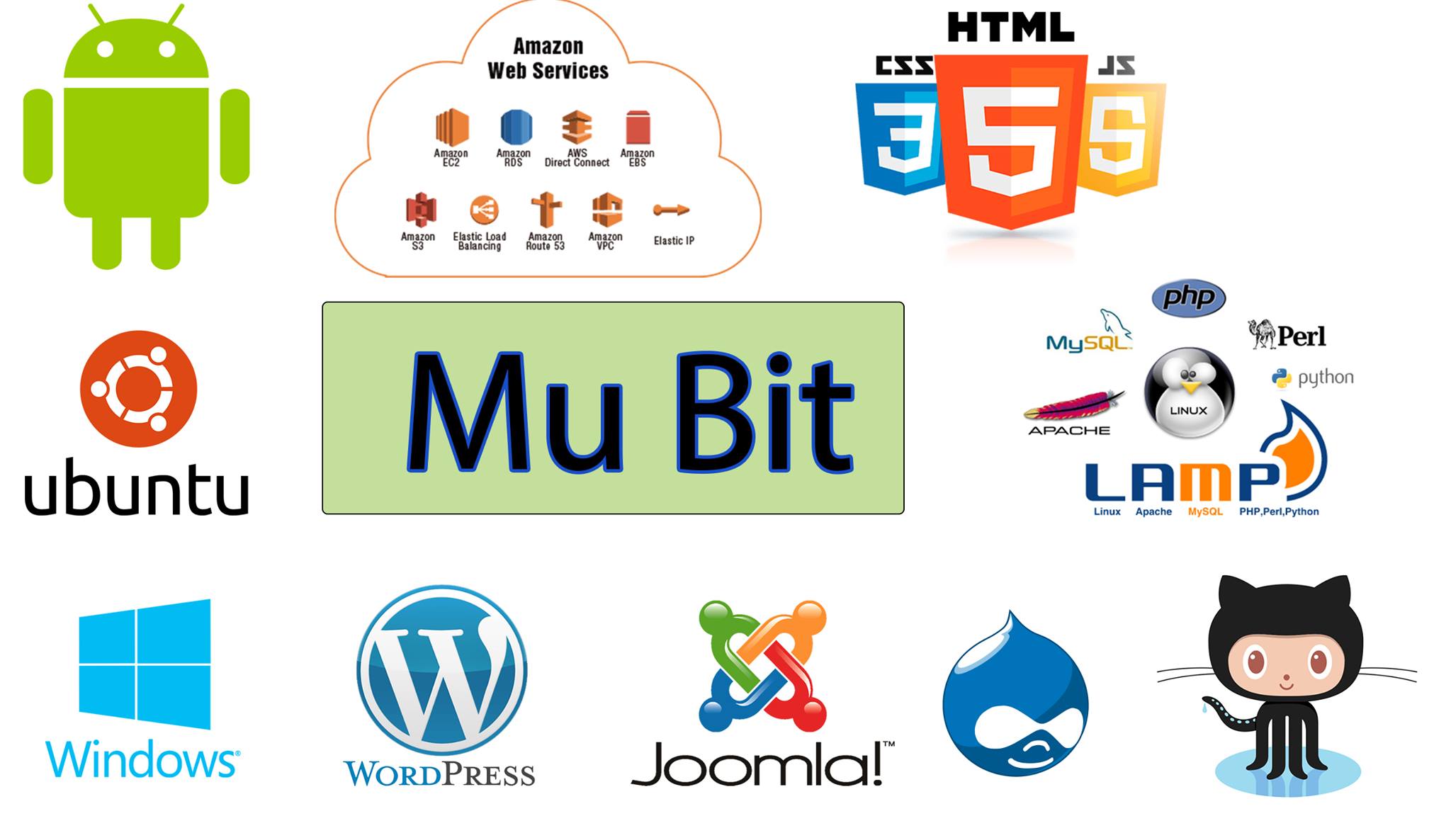Mubit Tips - Home