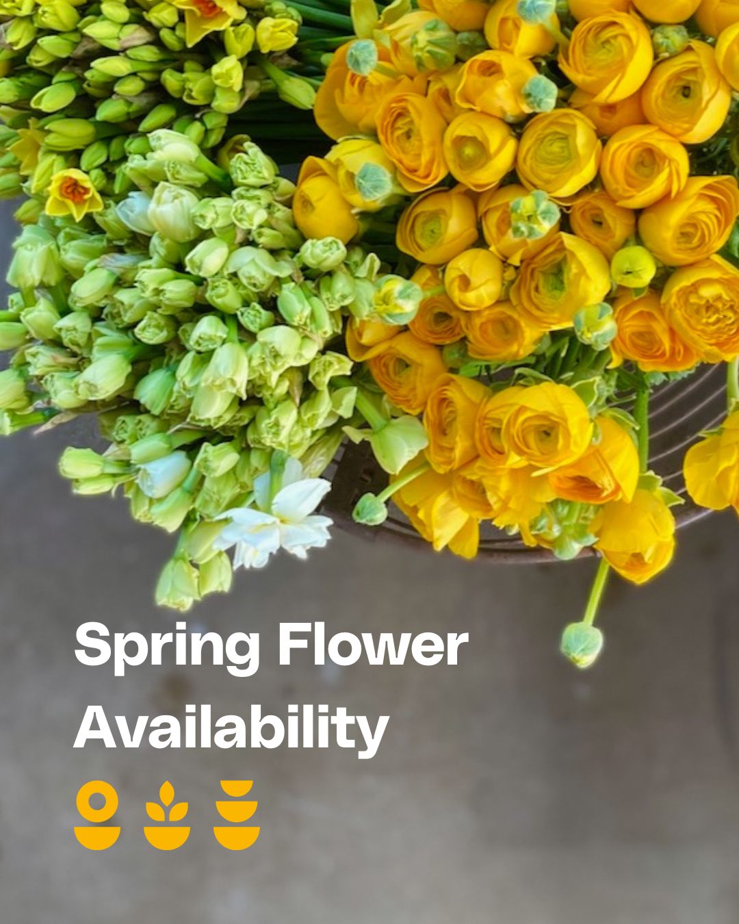 Flowervision London added a new... - Flowervision London