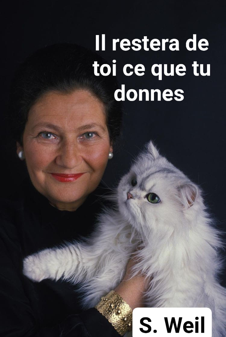 Poeme Il Restera De Toi Simone Veil