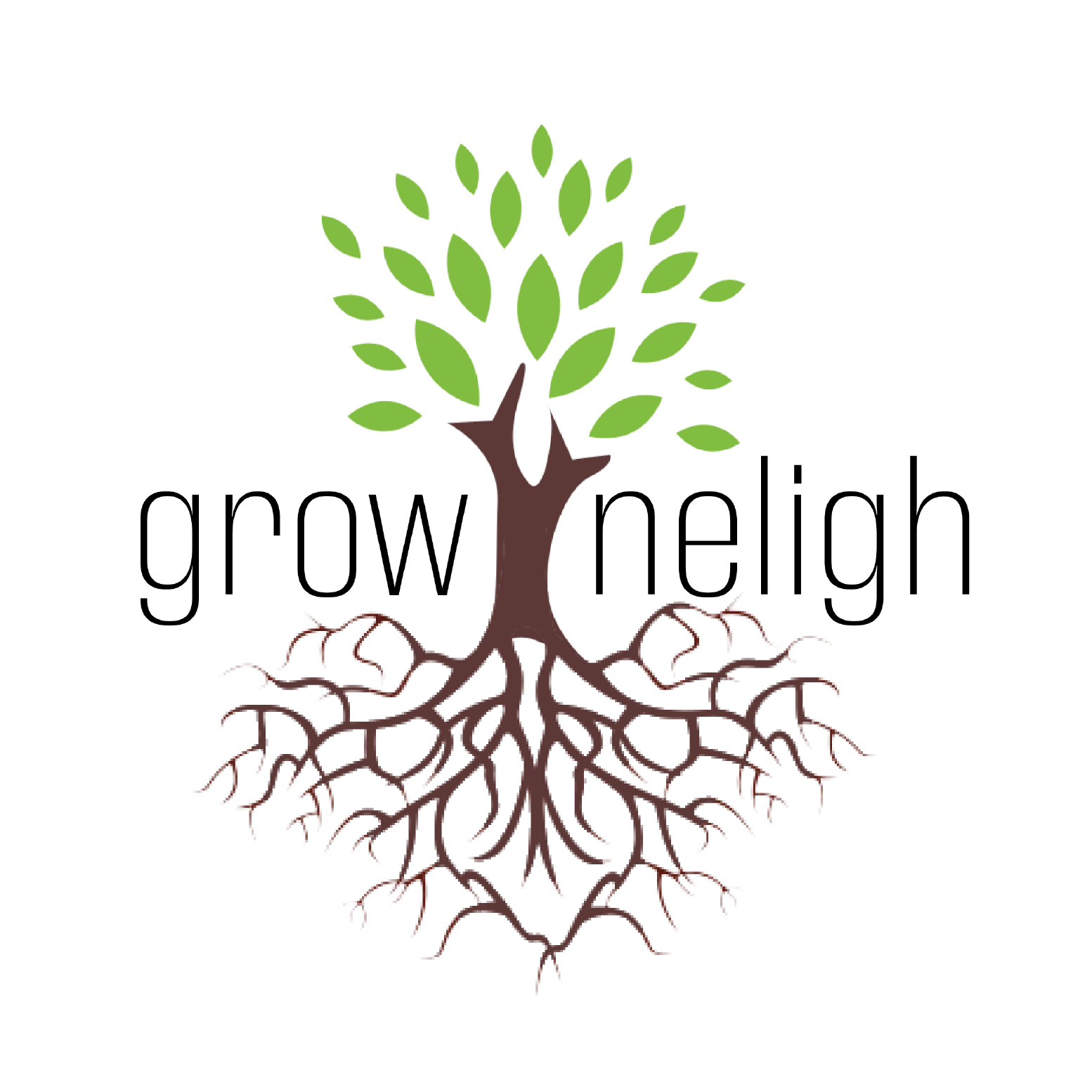 A .5% sales tax... - Neligh Economic Development Office | Facebook