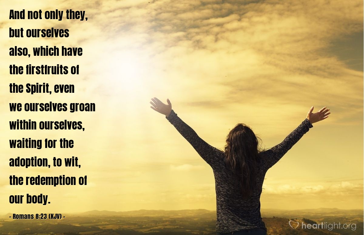King James Bible Scripture Pictures - Romans 8:23 Romans 8:18-23 
