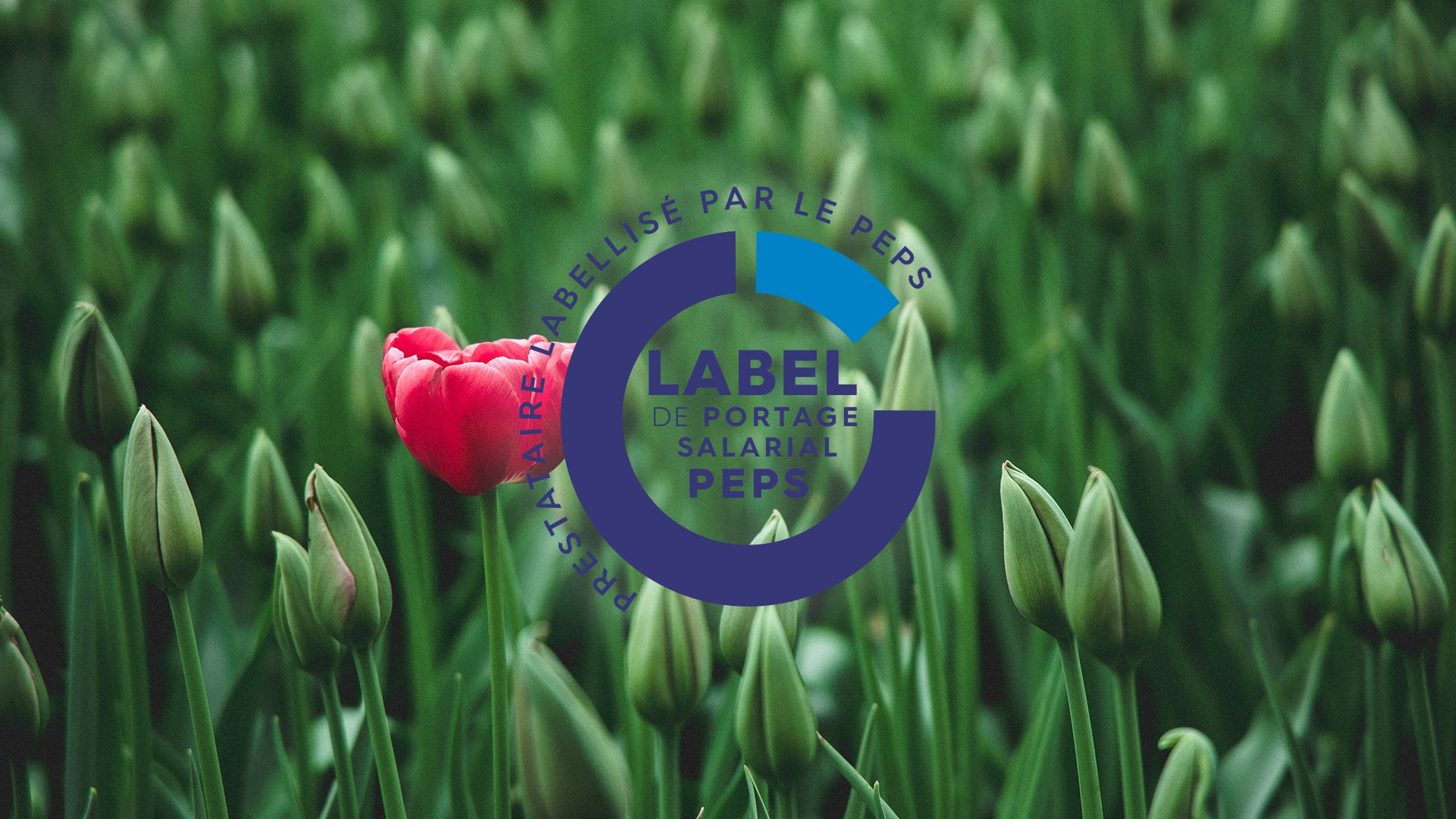 Portagez-vous - Label de Portage salarial PEPS : pour tout savoir En ...