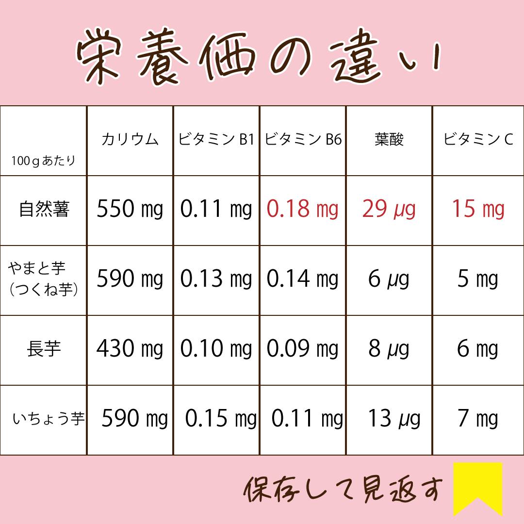 長芋栄養