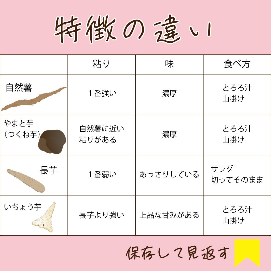 長芋 山芋 違い