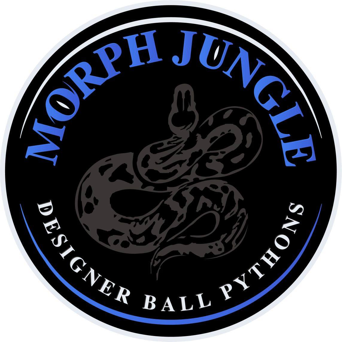 Morph Jungle - Fresh shed on this girl - - - #ballpython... | Facebook