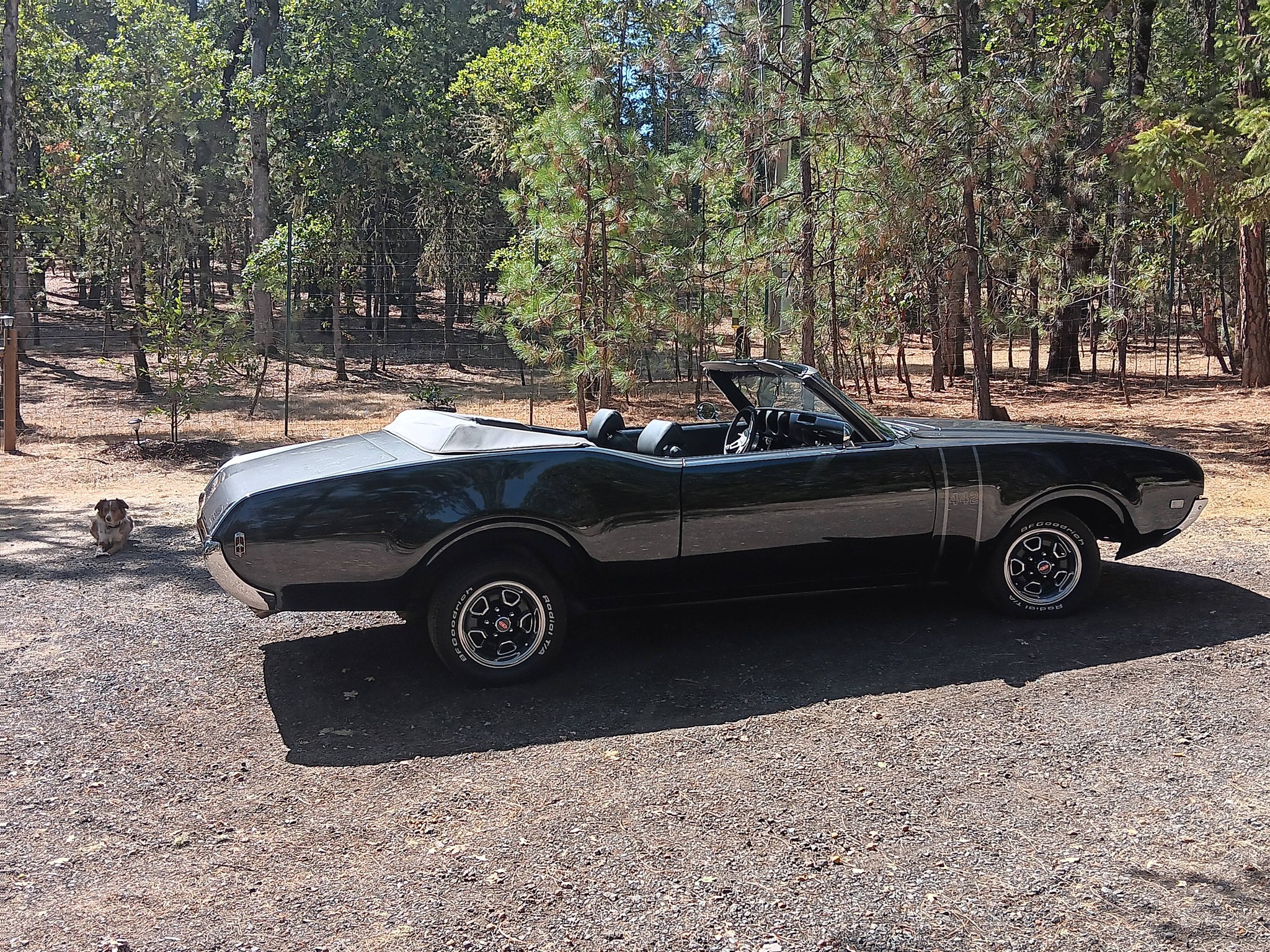 1968 OLDSMOBILE CUTLASS 442 CONVERTIBLE 455CI V8 AUTO for sale