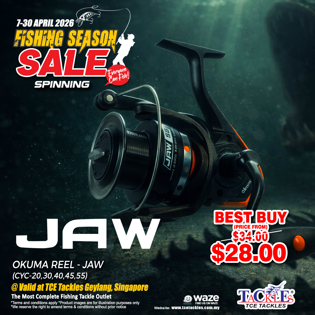 buy fishing reel singapore Reels Top Daiwa Fishing Reels in