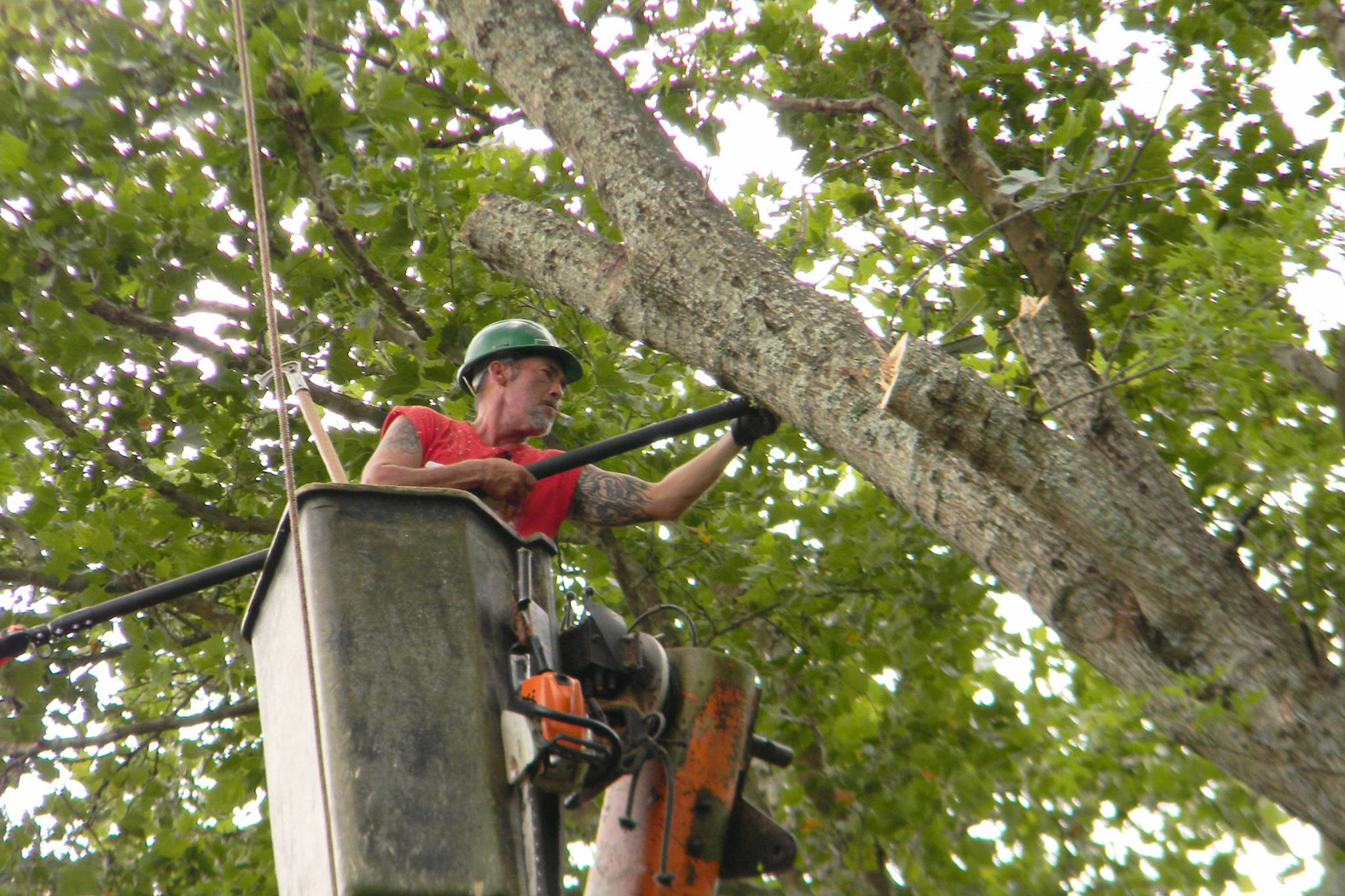 Associated Tree Services, Inc. | Bristol VA