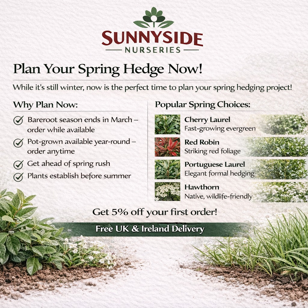 Sunnyside Nurseries added a new photo. - Sunnyside Nurseries