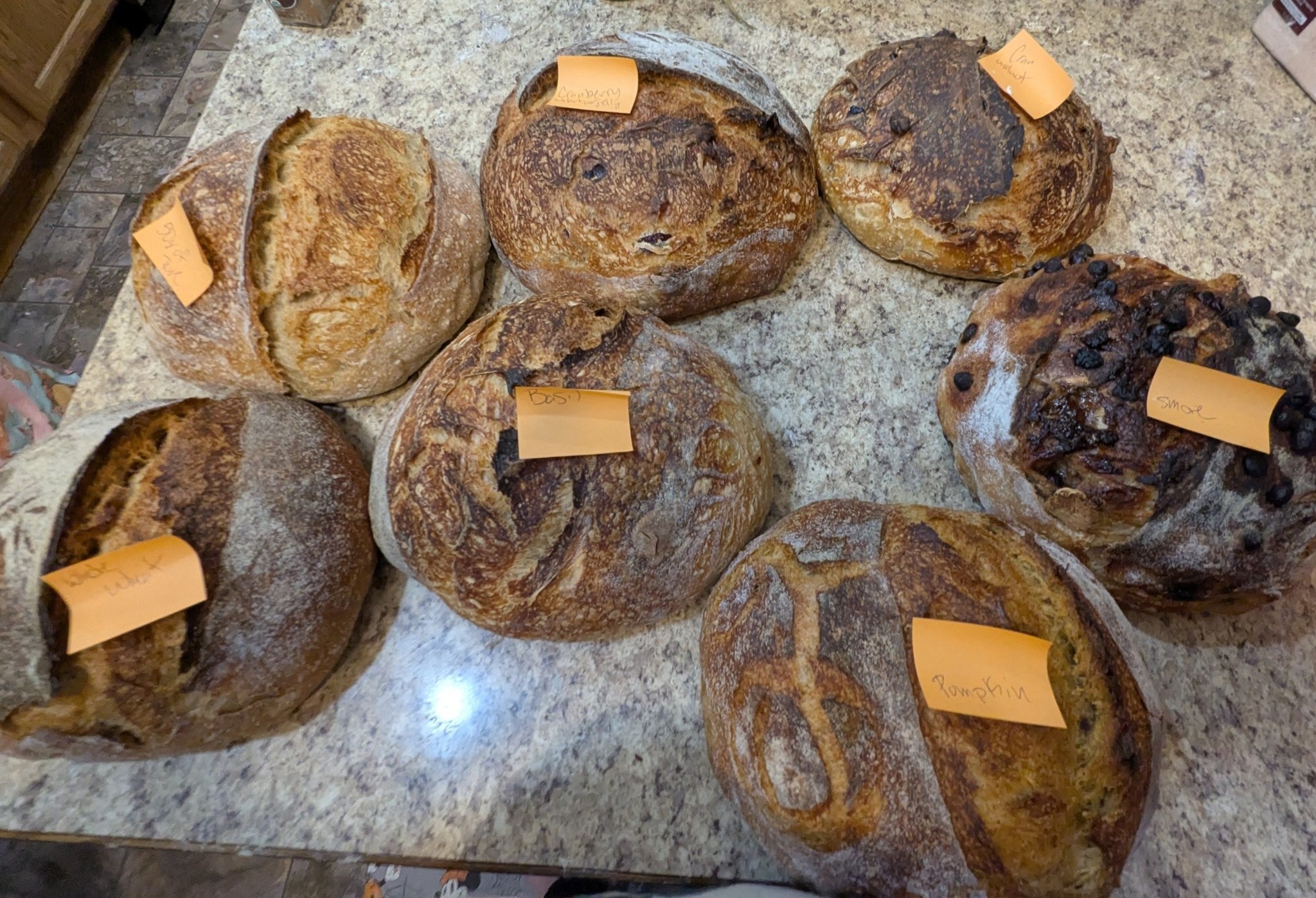 Sourdough Geeks | Just wanted to share my experimental loaves for this ...