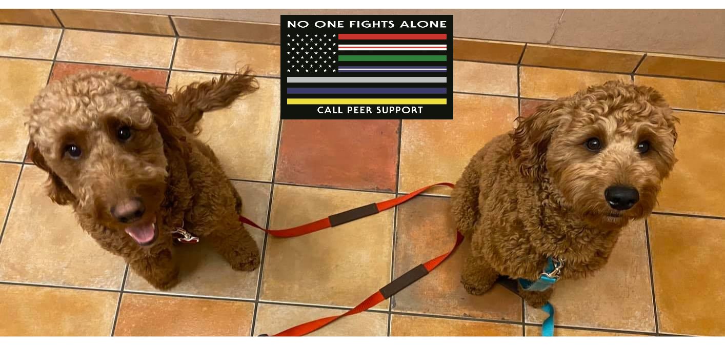 What Happens when Badge and Stryker are in emotional distress at the ...