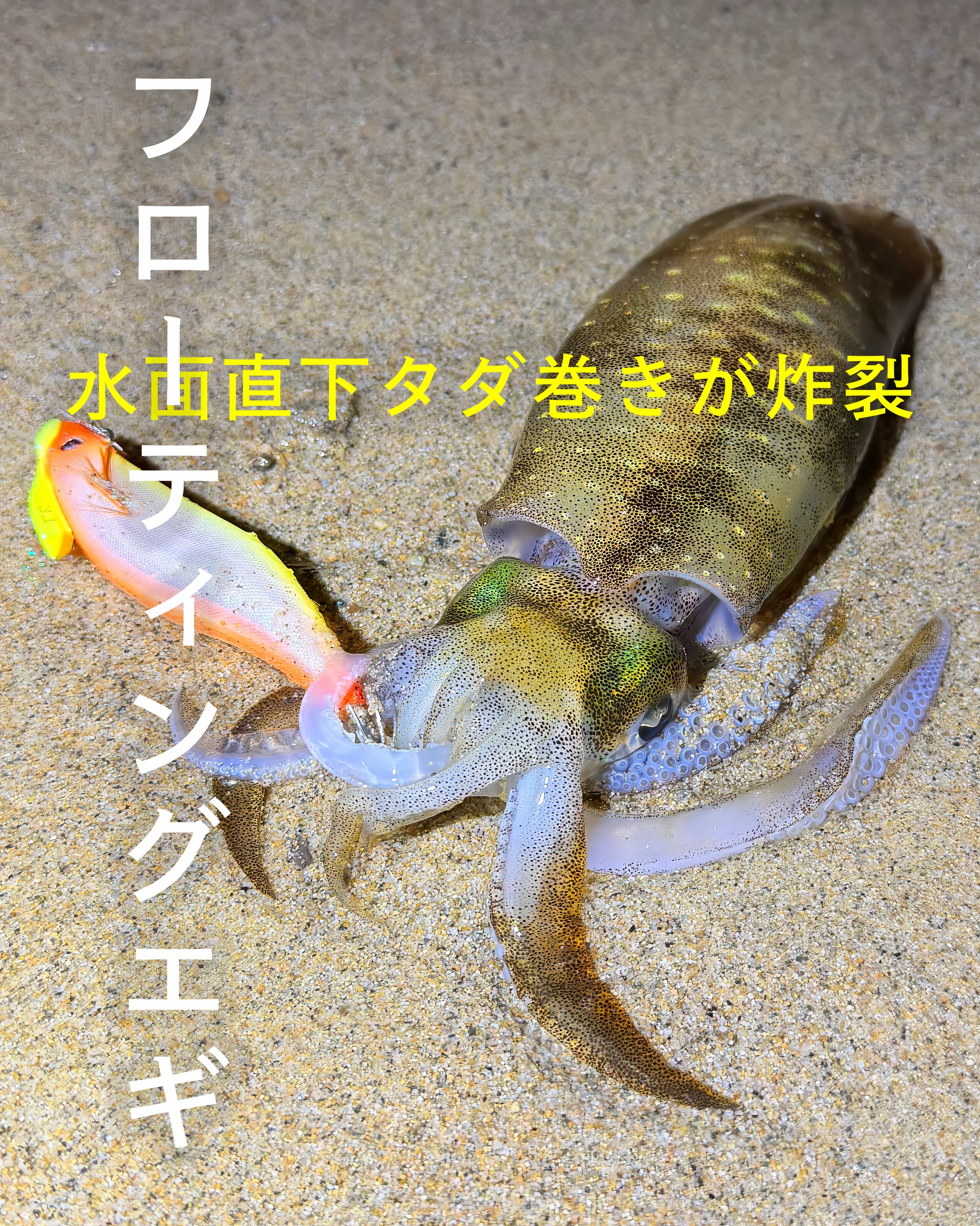タロンペ86C / 78S】TULALA とismの注目コラボロッドが2022年登場予定
