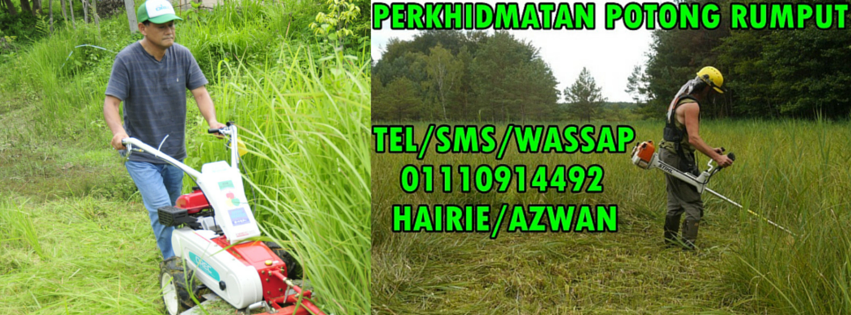 Perkhidmatan Potong Rumput Murah - 